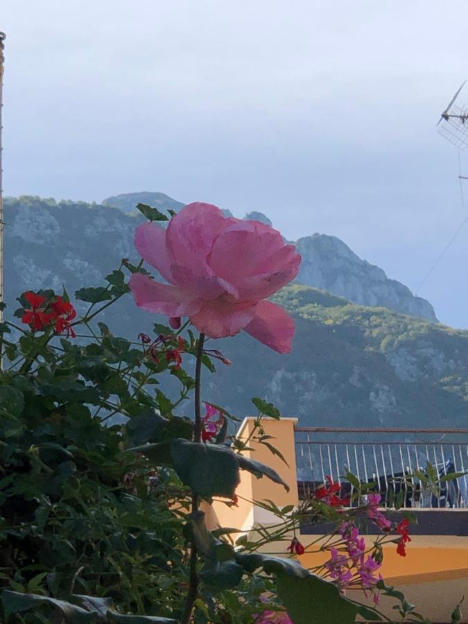 Il Riccio, Valle Roveto Country House Roccavivi Exterior foto